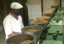 Delegación del Sistema Nacional de Producción visitó la procesadora de aceite de Ajonjolí en León Delegación del Sistema Nacional de Producción visitó la procesadora de aceite de Ajonjolí en León