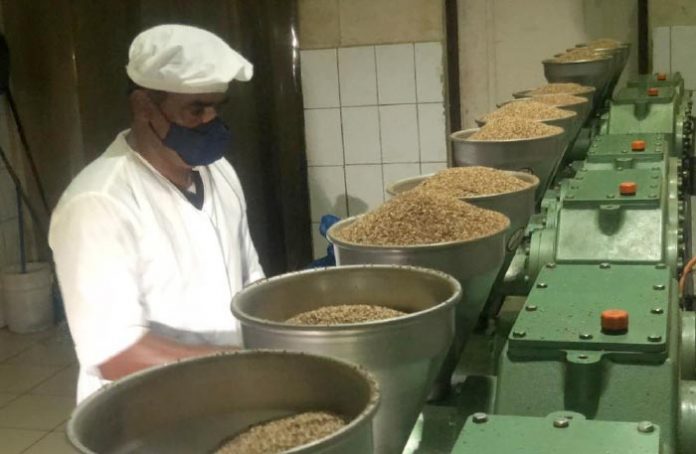 Delegación del Sistema Nacional de Producción visitó la procesadora de aceite de Ajonjolí en León