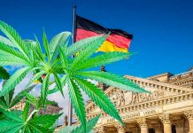 Alemania busca legalizar la marihuana para consumo recreativo Ministro de Salud de Alemania busca legalizar la marihuana para consumo recreativo