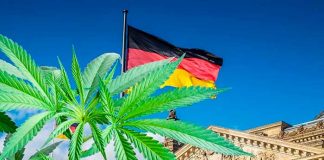 Ministro de Salud de Alemania busca legalizar la marihuana para consumo recreativo