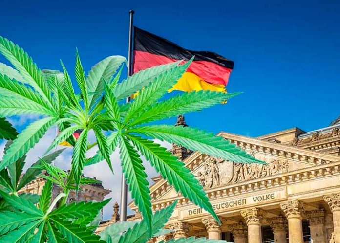 alemania3 Ministro de Salud de Alemania busca legalizar la marihuana para consumo recreativo