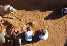 Hallan un esqueleto de bebé enterrado en vasija