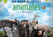 04 de octubre Día Mundial de los Animales 04 de octubre Día Mundial de los Animales