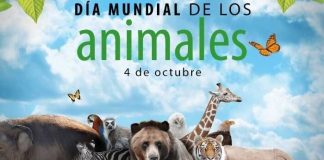 04 de octubre Día Mundial de los Animales
