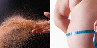 ¿Se podrá tratar la obesidad con partículas de arena purificada?