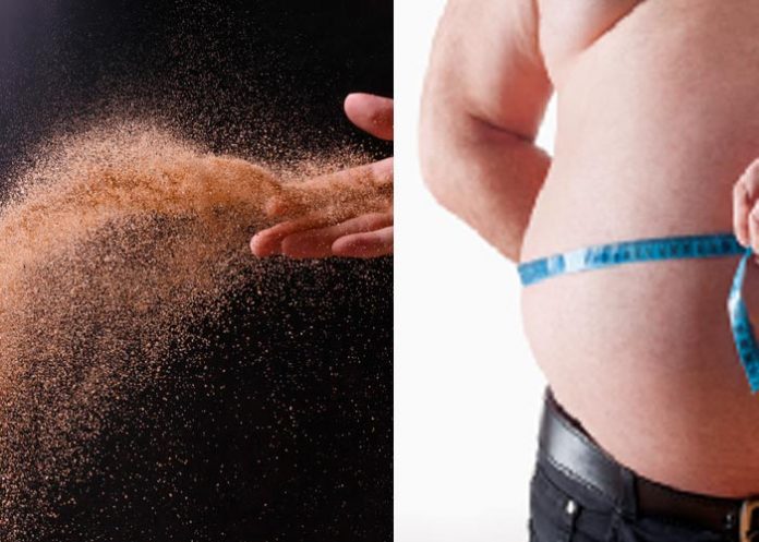 ¿Se podrá tratar la obesidad con partículas de arena purificada?