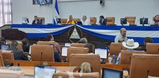 Sesión parlamentaria en la Asamblea Nacional