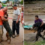 El perro se paró en dos patas para alcanzar a su dueño 