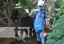 Aplicación del BTI y fumigación en el barrio San José Oriental, Managua
