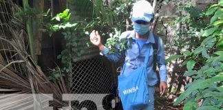 Aplicación del BTI y fumigación en el barrio San José Oriental, Managua