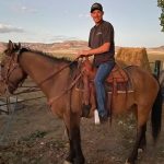 Reencuentro maravilloso: Caballo perdido regresa a casa 8 años después Caballo regresa después de huir con manada salvaje