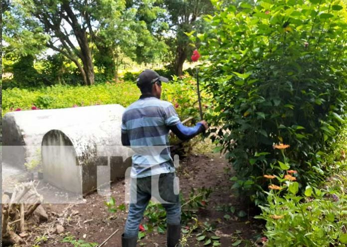 Limpieza de cementerios en la Isla de Ometepe