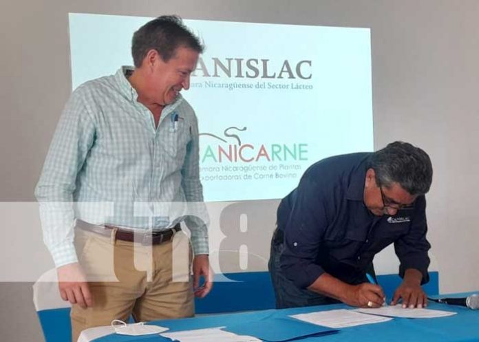 Firman importante convenio para la ganadería de Nicaragua