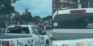 Viral en TikTok por colocar alimento en su carro