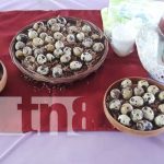 Producción de codorniz sigue avanzando en Nicaragua