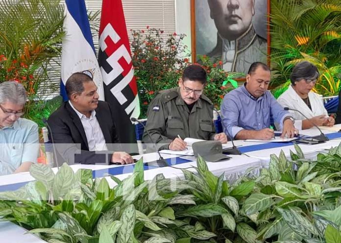 cosecha-cafe-1 Plan interinstitucional para seguridad de cosecha cafetalera en Nicaragua