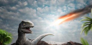 El asteroide que mató dinosaurios provocó un tsunami