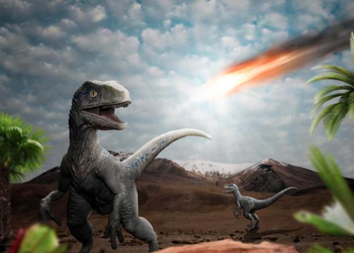 dino El asteroide que mató dinosaurios provocó un tsunami