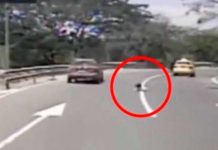 Viva de milagro niña tras caer de taxi en movimiento en Ecuador (Video)
