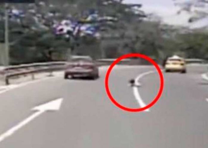 ecuador3 Viva de milagro niña tras caer de taxi en movimiento en Ecuador (Video)