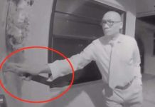 Hombre con machete en mano causa pánico en un vecindario en Florida Hombre con machete en mano causa pánico en un vecindario en Florida