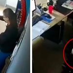 Saladas: Por cámara oculta el jefe las mira en el piso en horas laborales Con cámara oculta jefe descubrió cómo perdían el tiempo