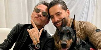 ¡Candente! En pleno concierto Marc Anthony besa y se arrodilla ante Maluma