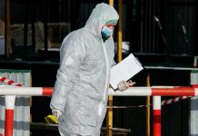 En España detectan el primer caso de gripe aviar H5N1 en un humano En España detectan el primer caso de gripe aviar H5N1 en un humano