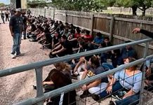 Una vez más dejan tirados a 84 migrantes dentro de un camión en Texas Una vez más dejan tirados a 84 migrantes dentro de un camión en Texas