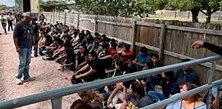 Una vez más dejan tirados a 84 migrantes dentro de un camión en Texas