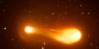Descubren un par de estrellas con la órbita más corta