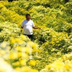 Por esto es que se llama la «Ciudad de las Flores» a Masaya Espectáculo de flores para estas fechas en Masaya