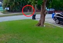 Niña escapa milagrosamente de dos intentos de secuestro en Florida
