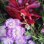 «Se acomoda al bolsillo del cliente»: Buenos precios de flores en Managua Comercio de flores está creciendo en Managua