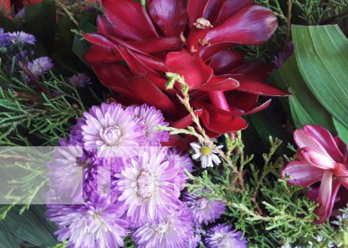 Comercio de flores está creciendo en Managua