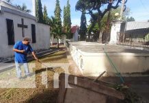 Granada se prepara para conmemorar a los fieles difuntos Comienza la limpieza de cementerios en Granada