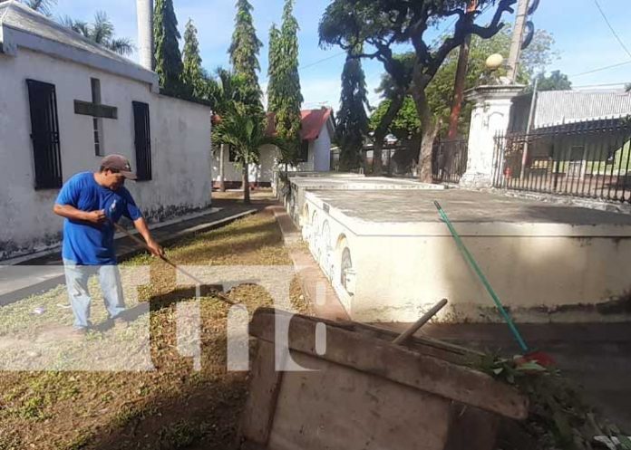 granada-camposanto-2 Comienza la limpieza de cementerios en Granada