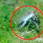 Camioneta repleta de gente cae en un guindo y dejó 17 muertos en Guatemala