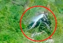 Camioneta repleta de gente cae en un guindo y dejó 17 muertos en Guatemala