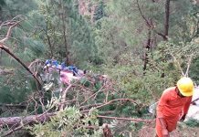Sangriento accidente en la India deja al menos a 25 personas muertas