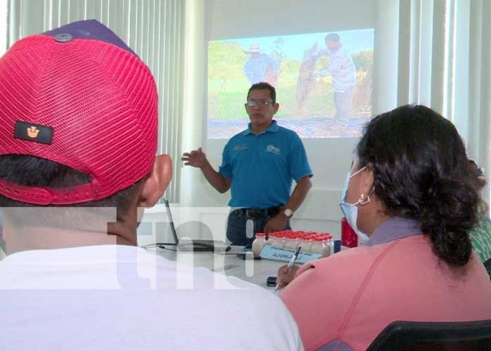 Capacitación del INTA Nicaragua para los productores de ajonjolí