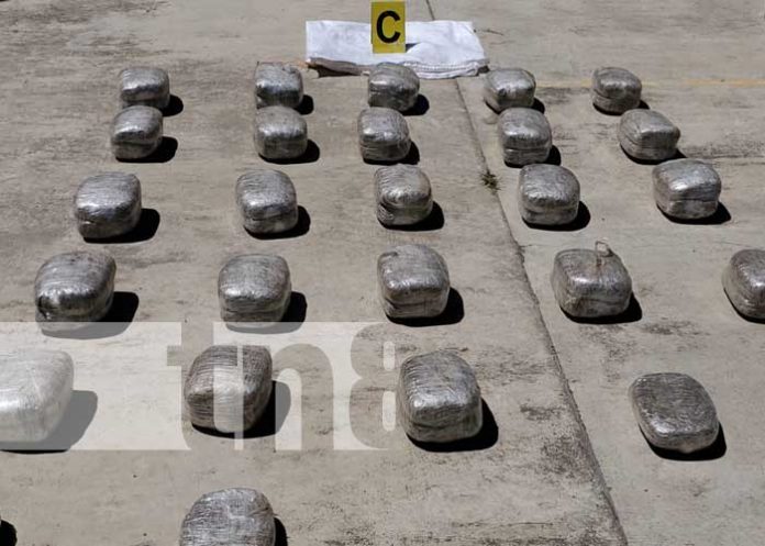 Incautación de marihuana en Jalapa, Nueva Segovia