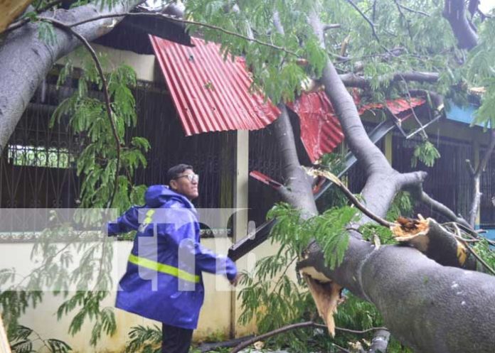 leon-2 Autoridades de León presentan informe de daños tras el paso de