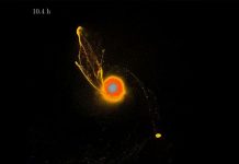 «Impresionante»: La Luna se habría formado súbitamente luego de un enorme impacto