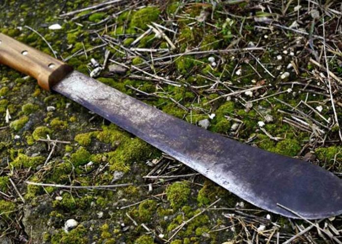 Hombre muere a machetazos en Dipilto, Nueva Segovia