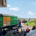 Detienen a cinco "coyotes" con 156 migrantes en Chiapas y Veracruz, en México