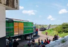 Detienen a cinco «coyotes» con 156 migrantes en Chiapas y Veracruz, en México Detienen a cinco "coyotes" con 156 migrantes en Chiapas y Veracruz, en México