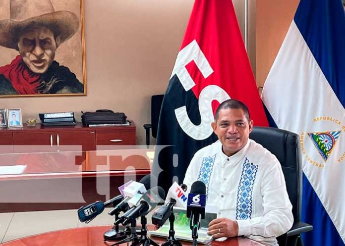 Hacienda: Crece producción del sector porcino y avícola en Nicaragua