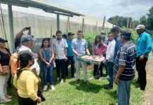 Se realiza II encuentro de Jóvenes Innovadores en Tecnologías Digitales en Jinotepe-Carazo Se realiza II encuentro de Jóvenes Innovadores en Tecnologías Digitales en Jinotepe-Carazo