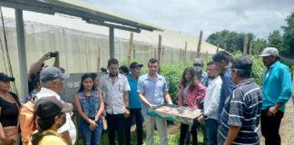 Se realiza II encuentro de Jóvenes Innovadores en Tecnologías Digitales en Jinotepe-Carazo
